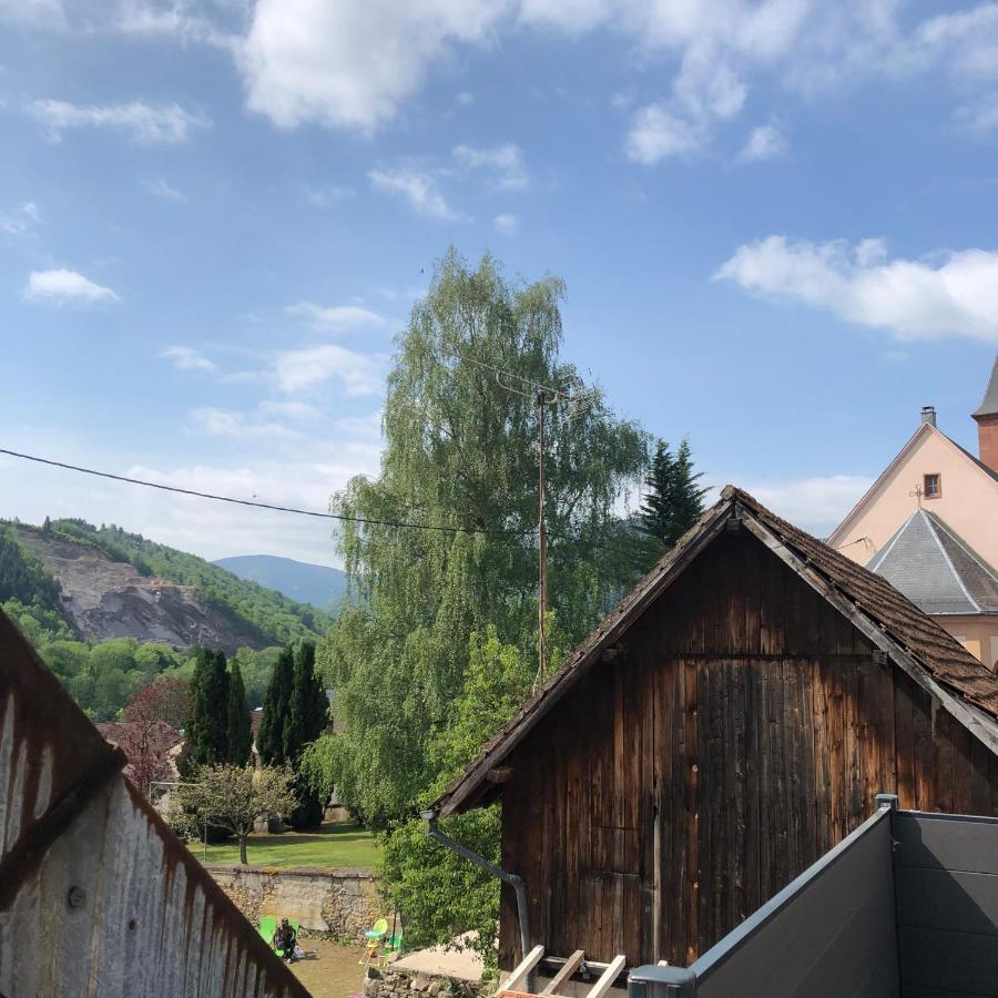 Appartement Vintage A L Ancienne Forge Muhlbach-sur-Munster Exterior foto